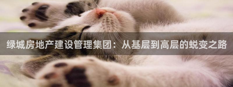 新宝5d：绿城房地产建设管理集团：从基层到高层的蜕变之路