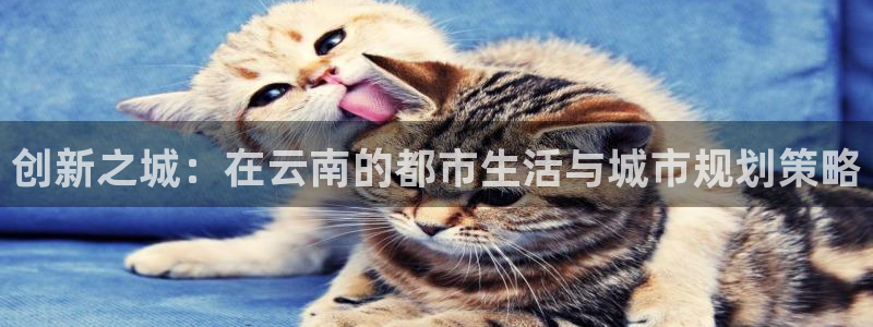 新宝5平台注册：创新之城：在云南的都市生活与城市规划策略