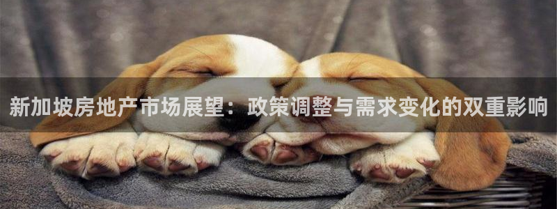 新宝3得74OO5：新加坡房地产市场展望：政策调整与需求变化