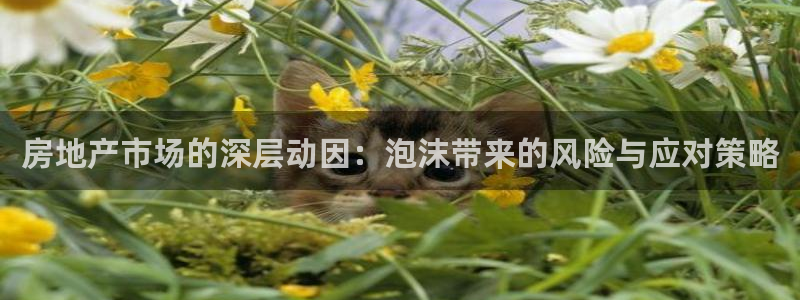 新宝5官方网站：房地产市场的深层动因：泡沫带来的风险与应对策