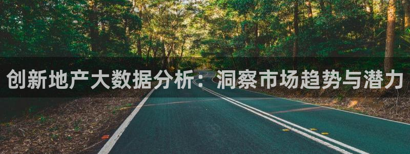 新宝5d：创新地产大数据分析：洞察市场趋势与潜力