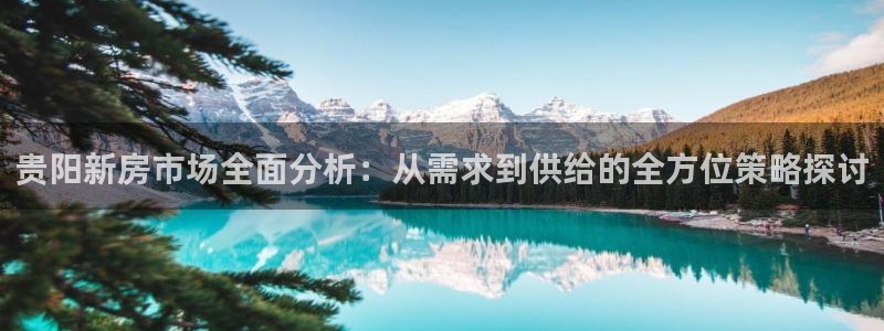 新宝5测登录：贵阳新房市场全面分析：从需求到供给的全方位策略