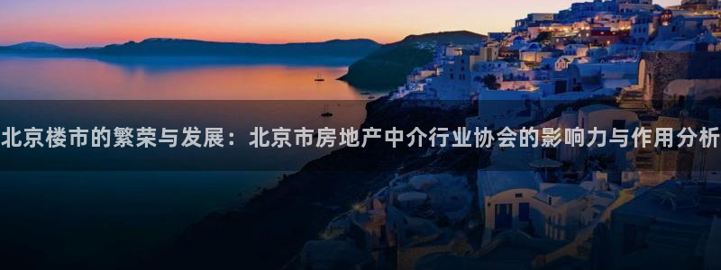 新宝5娱乐网址：北京楼市的繁荣与发展：北京市房地产中介行业协
