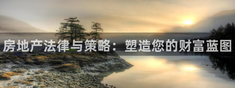 新宝股东张听2 5 5：房地产法律与策略：塑造您的财富蓝图
