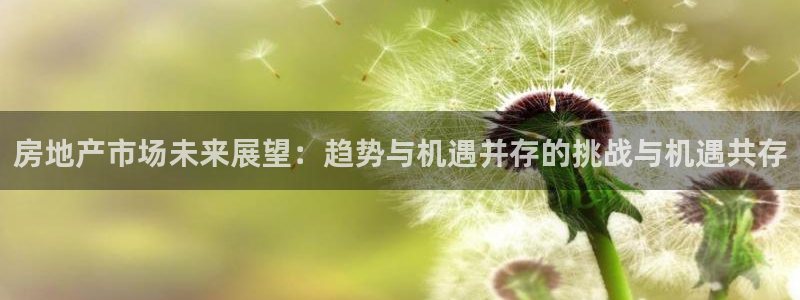 新宝堂新会陈皮5年：房地产市场未来展望：趋势与机遇并存的挑战
