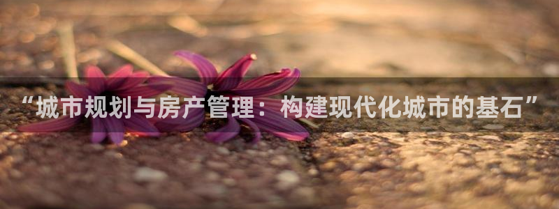 新宝5吕74OOO5：“城市规划与房产管理：构建现代化城市的