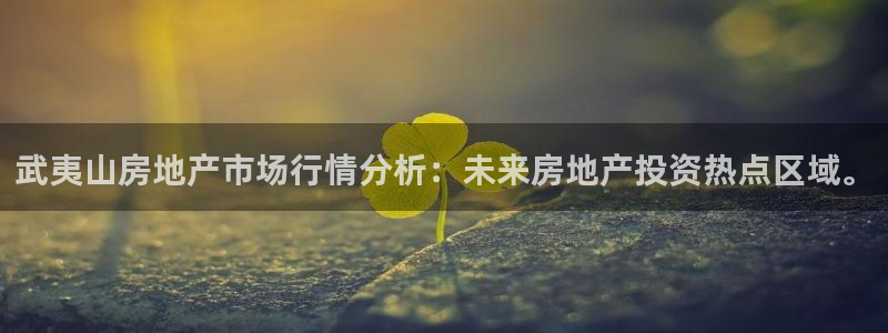新宝5注册首页：武夷山房地产市场行情分析：未来房地产投资热点