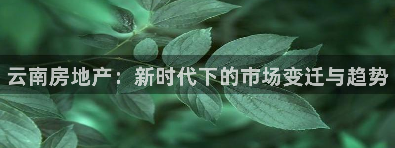 新宝5电脑：云南房地产：新时代下的市场变迁与趋势