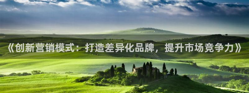 新宝b2O5O5O：《创新营销模式：打造差异化品牌，提升市场