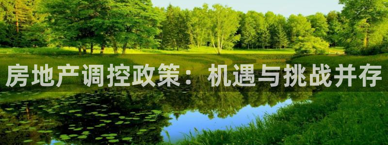 新宝5注册：房地产调控政策：机遇与挑战并存