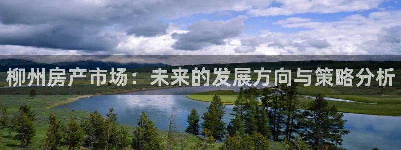 新宝5尤74OOO5：柳州房产市场：未来的发展方向与策略分析