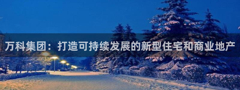 新宝5后：万科集团：打造可持续发展的新型住宅和商业地产