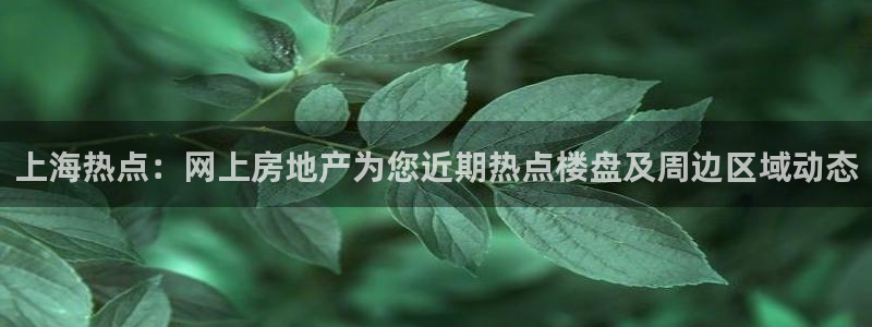 新宝5挂机：上海热点：网上房地产为您近期热点楼盘及周边区域动