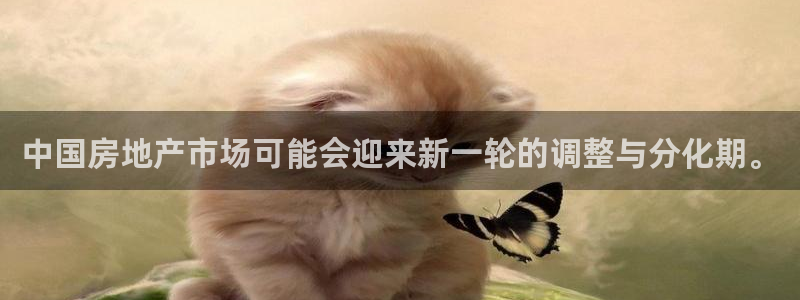 新宝5吴74OOO5：中国房地产市场可能会迎来新一轮的调整与