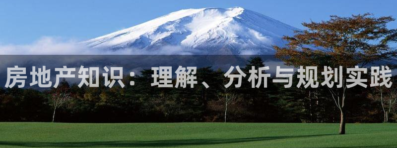 新宝5下载到桌面：房地产知识：理解、分析与规划实践