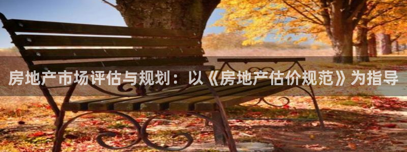 新宝5吕74OOO5：房地产市场评估与规划：以《房地产估价规