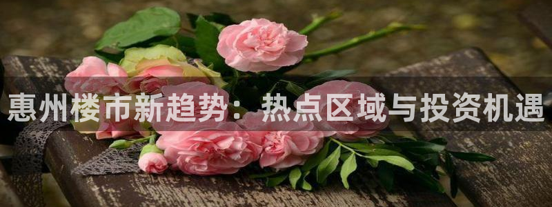 新宝5下载官方：惠州楼市新趋势：热点区域与投资机遇