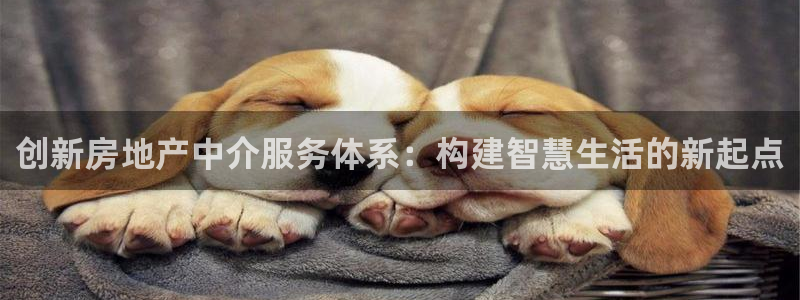 新宝5如何注册登录：创新房地产中介服务体系：构建智慧生活的新