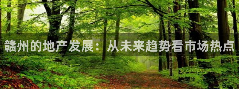 新宝5日谢29999：赣州的地产发展：从未来趋势看市场热点