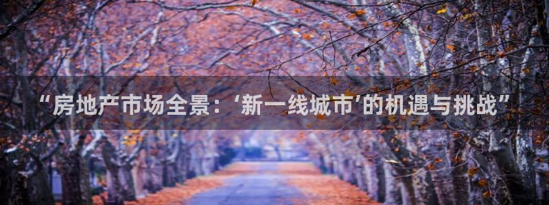 皇冠新宝5：“房地产市场全景：‘新一线城市’的机遇与挑战”