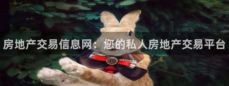新宝5官网：房地产交易信息网：您的私人房地产交易平台