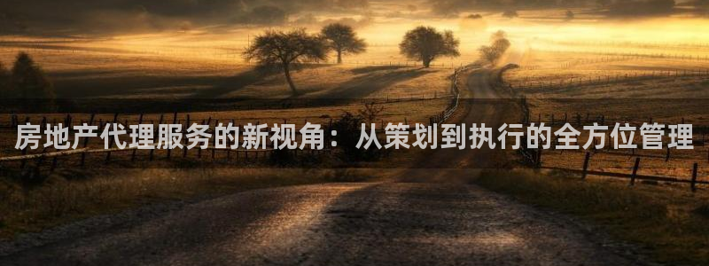新宝5手机下载：房地产代理服务的新视角：从策划到执行的全方位