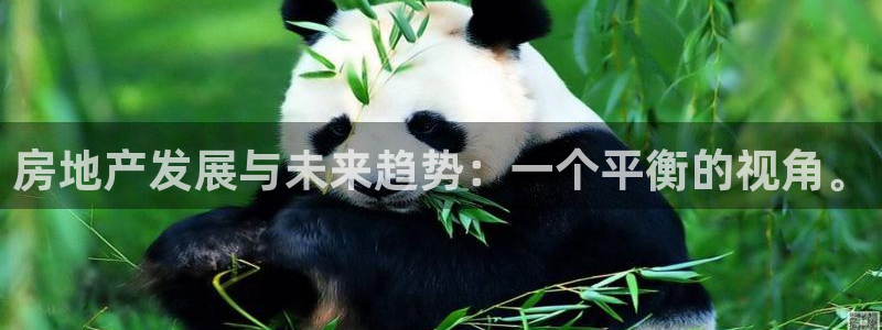 新宝gg5：房地产发展与未来趋势：一个平衡的视角。