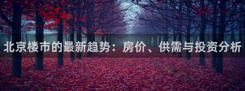 新宝5是什么样子的：北京楼市的最新趋势：房价、供需与投资分析