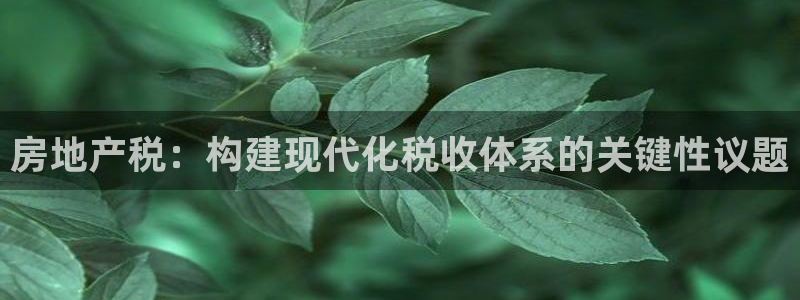 新宝5招商：房地产税：构建现代化税收体系的关键性议题