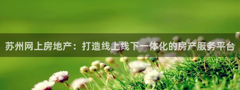 有人知道新宝5么：苏州网上房地产：打造线上线下一体化的房产服