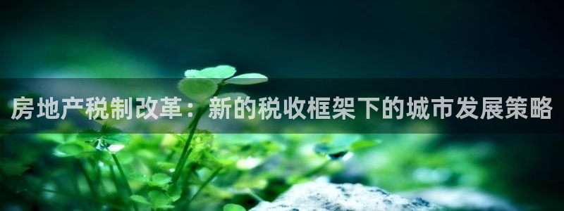 新宝5黑彩：房地产税制改革：新的税收框架下的城市发展策略
