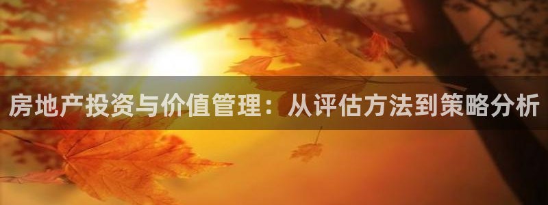 新宝5官网平台