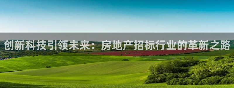 新宝5是谁：创新科技引领未来：房地产招标行业的革新之路