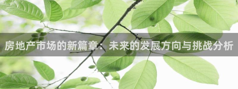 有人知道新宝5么：房地产市场的新篇章：未来的发展方向与挑战分