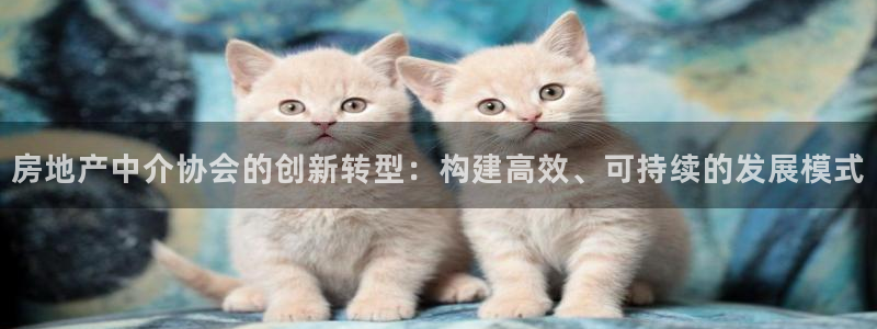 新宝5登录霸：房地产中介协会的创新转型：构建高效、可持续的发