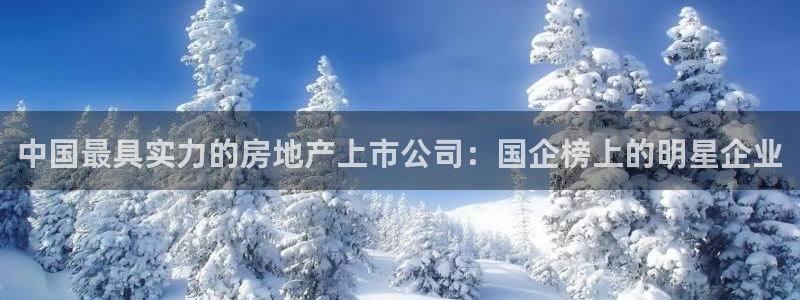 新宝5代理：中国最具实力的房地产上市公司：国企榜上的明星企业