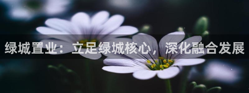 新宝5导师：绿城置业：立足绿城核心，深化融合发展