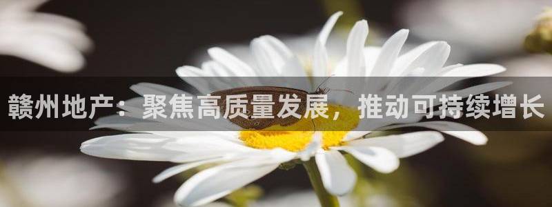 新宝5系列：赣州地产：聚焦高质量发展，推动可持续增长