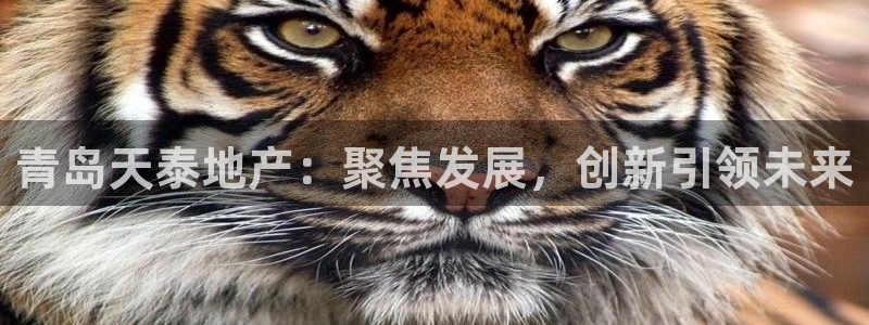 新宝5注册：青岛天泰地产：聚焦发展，创新引领未来