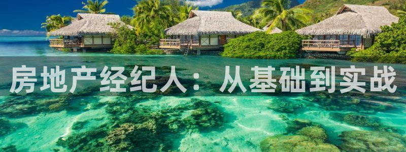 新宝5平台登陆：房地产经纪人：从基础到实战