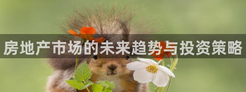 新宝5娱乐都：房地产市场的未来趋势与投资策略