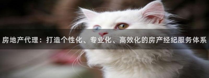 新宝5秒开：房地产代理：打造个性化、专业化、高效化的房产经纪