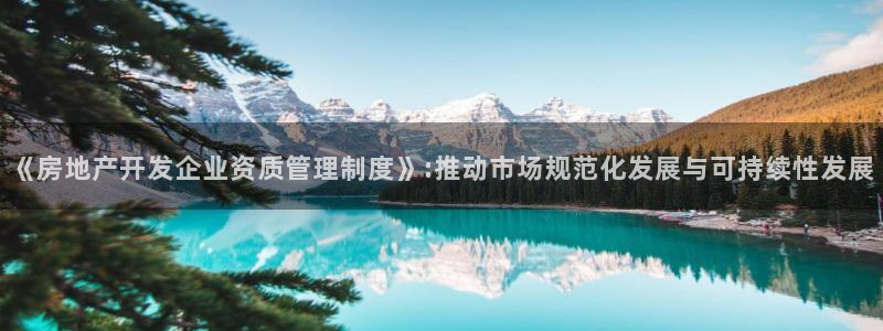 新宝5招商部：《房地产开发企业资质管理制度》:推动市场规范化