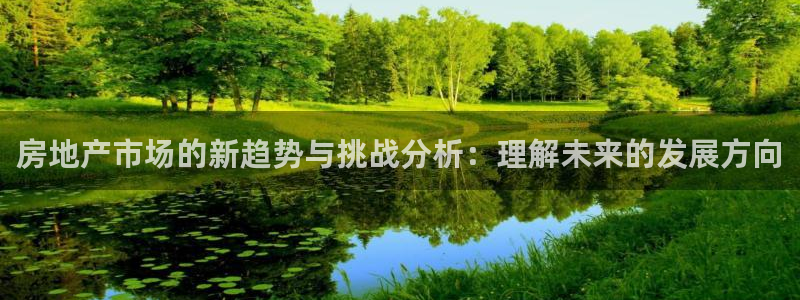 新宝5登录入口网址：房地产市场的新趋势与挑战分析：理解未来的