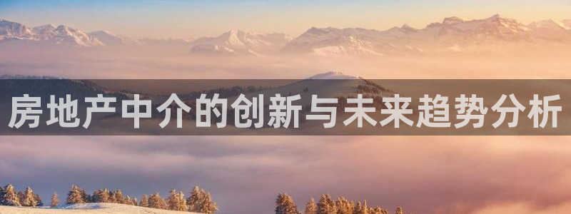 新宝5链接：房地产中介的创新与未来趋势分析