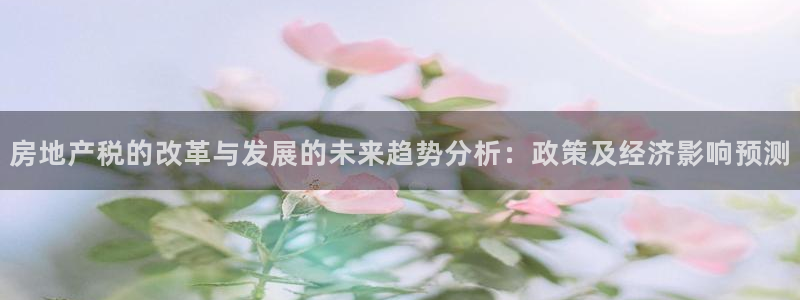 新宝5平台