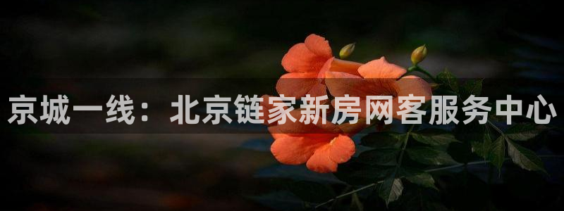新宝5软件下载