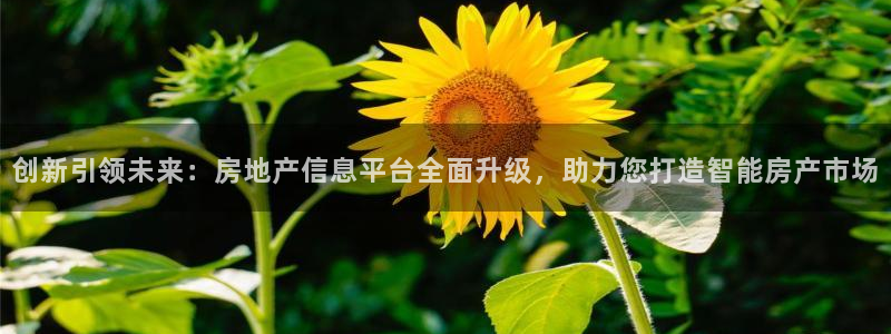 新宝5官网app：创新引领未来：房地产信息平台全面升级，助力