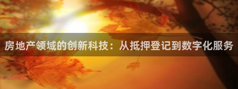 新宝j2O5O5O：房地产领域的创新科技：从抵押登记到数字化
