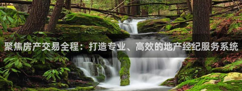 新宝5寻33 300球：聚焦房产交易全程：打造专业、高效的地